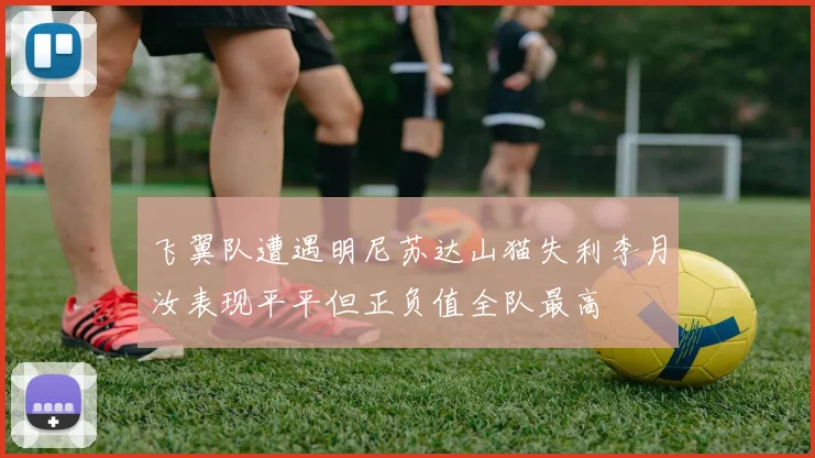 飞翼队遭遇明尼苏达山猫失利李月汝表现平平但正负值全队最高