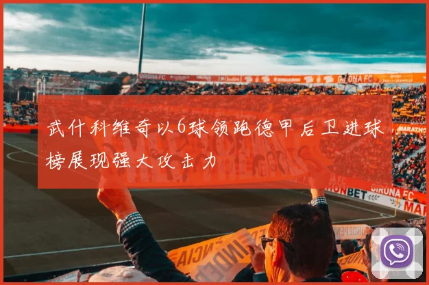 武什科维奇以6球领跑德甲后卫进球榜展现强大攻击力