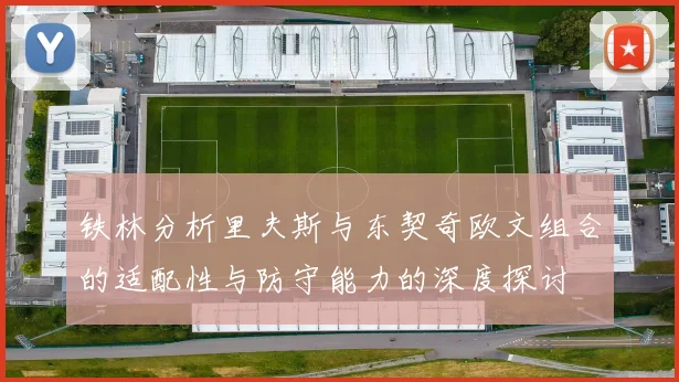 铁林分析里夫斯与东契奇欧文组合的适配性与防守能力的深度探讨