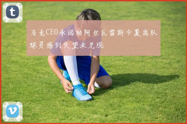 马竞CEO承诺助阿尔瓦雷斯今夏离队球员感到失望未兑现