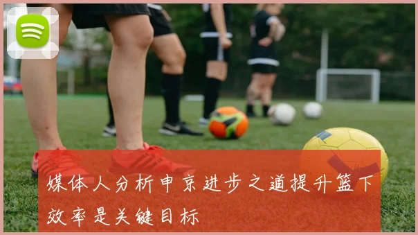媒体人分析申京进步之道提升篮下效率是关键目标
